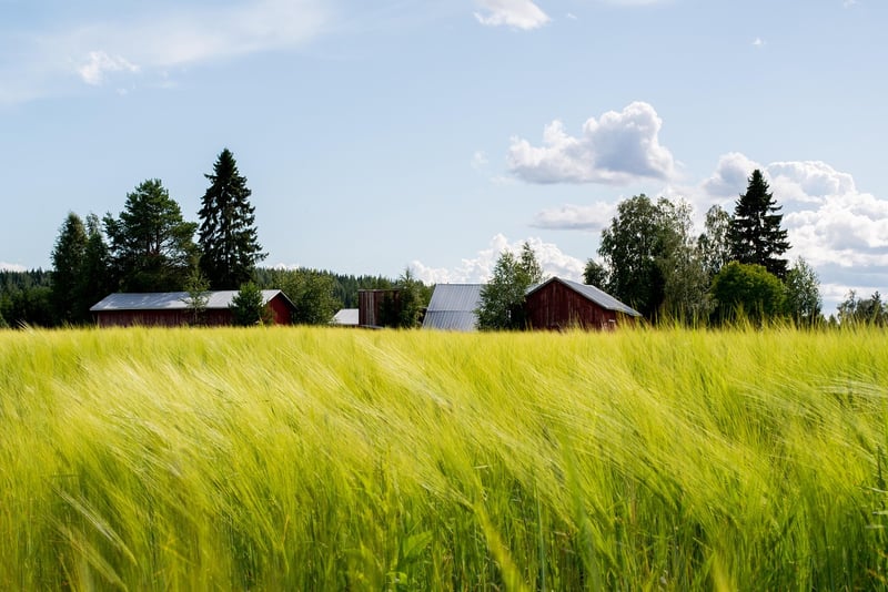 Magical crop cultivation